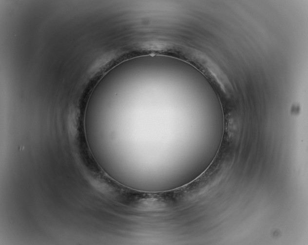 X0000102830544200808181326