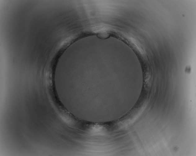 X0000102830547200808181327