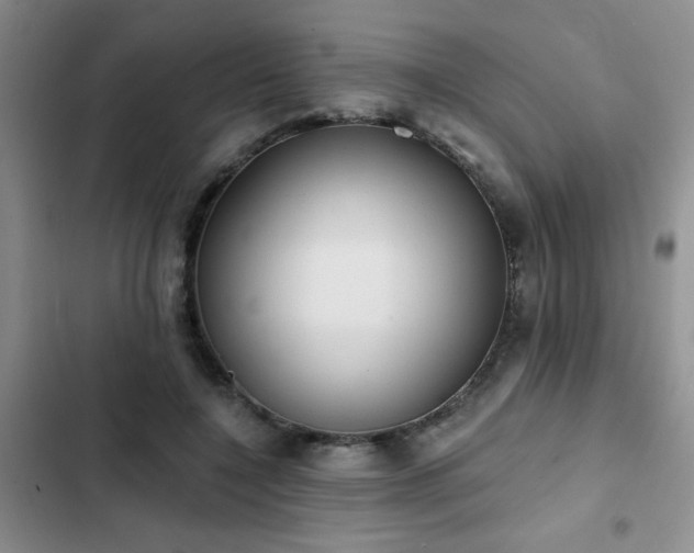 X0000102830548200808181327