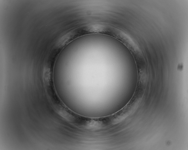 X0000102830549200808181327