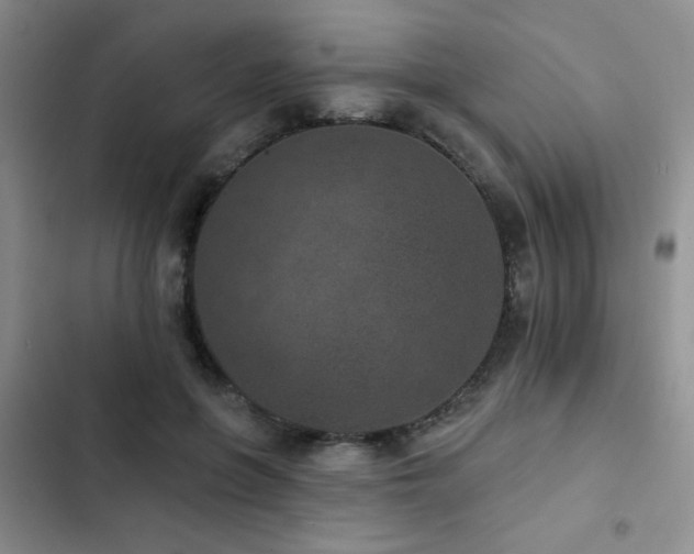 X0000102830551200808181327