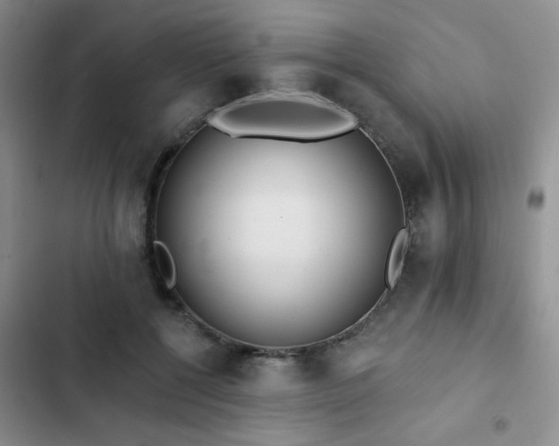 X0000102830552200808181327