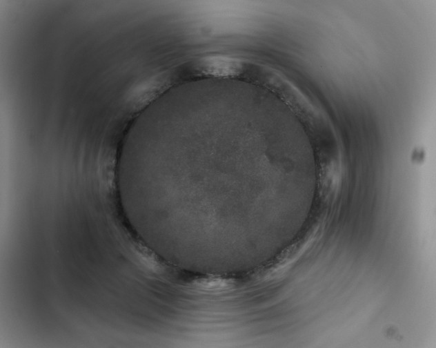 X0000102830553200808181327