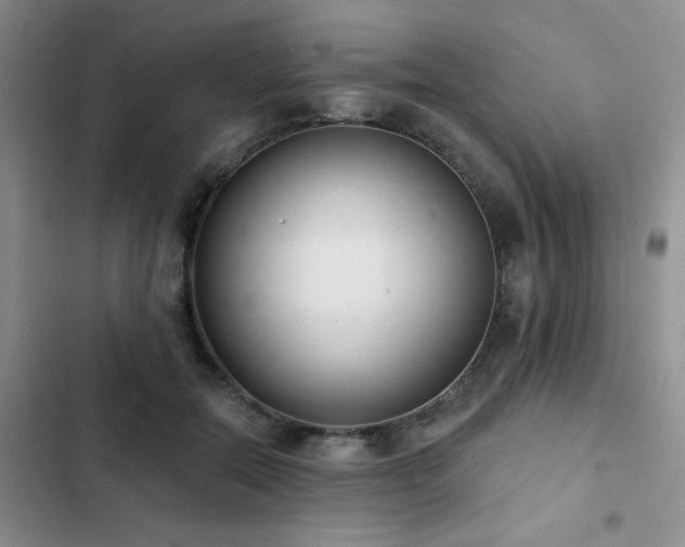 X0000102830554200808181327