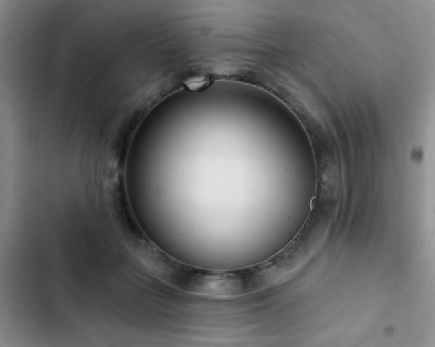 X0000102830555200808181327