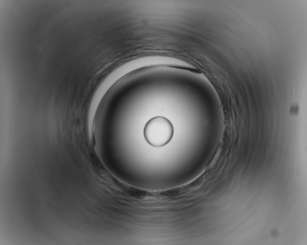 X0000102830556200808181327