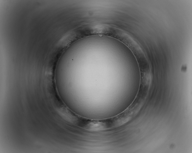 X0000102830557200808181327