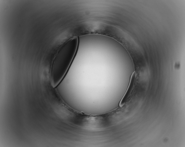 X0000102830558200808181327