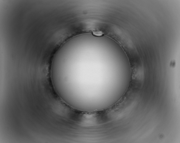 X0000102830560200808181327