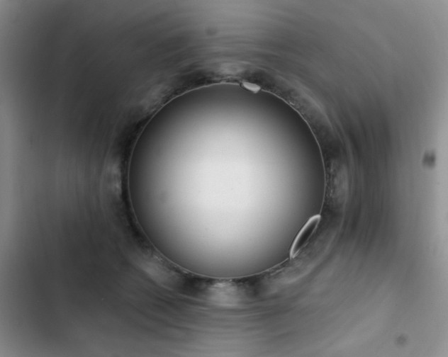 X0000102830562200808181327