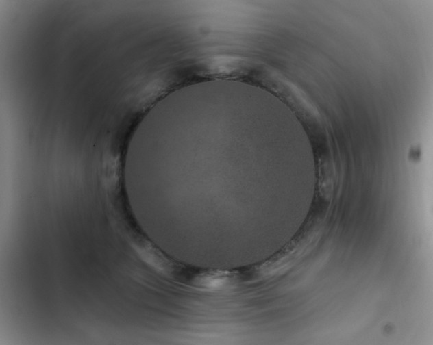 X0000102830563200808181327