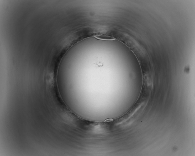 X0000102830564200808181327