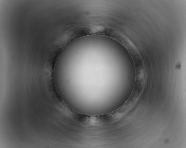 X0000102830565200808181327