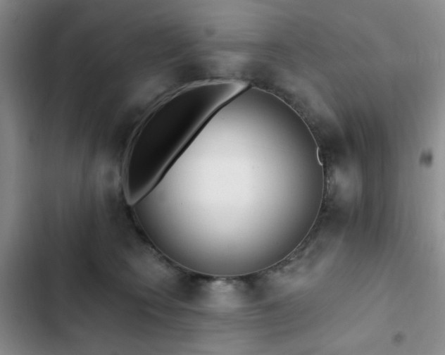 X0000102830566200808181327