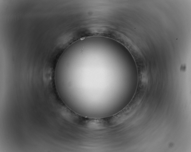 X0000102830567200808181327