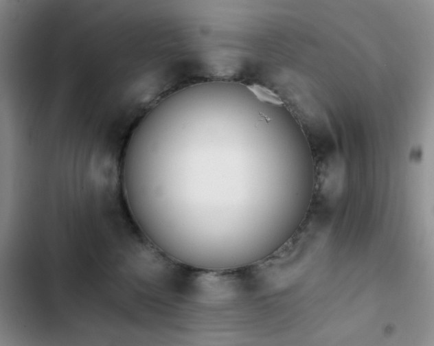 X0000102830568200808181327