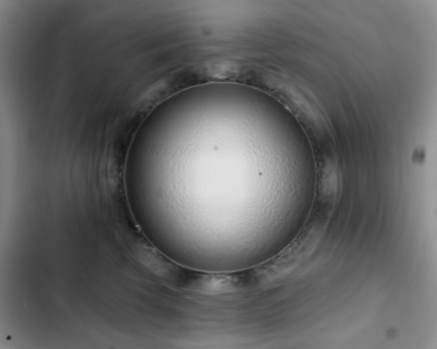 X0000102830569200808181327