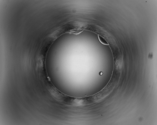 X0000102830570200808181327