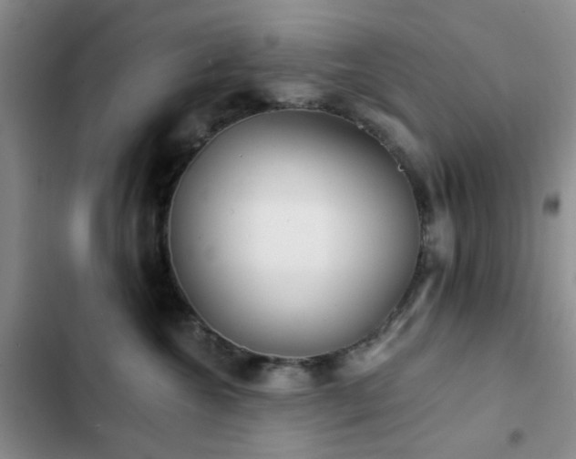 X0000102830572200808181327