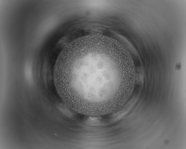 X0000102830573200808181327