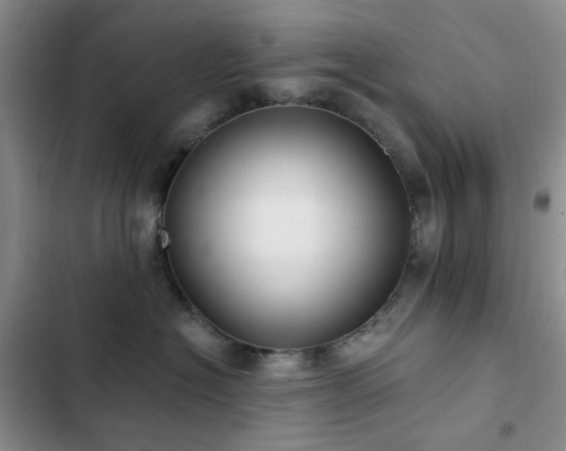 X0000102830574200808181327