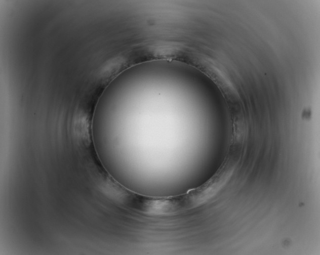 X0000102830575200808181327