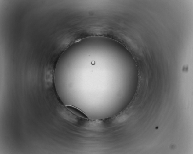 X0000102830576200808181327