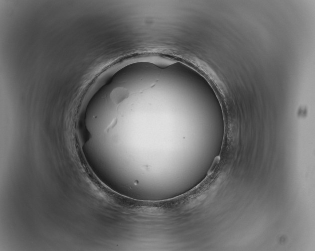 X0000102830577200808181326