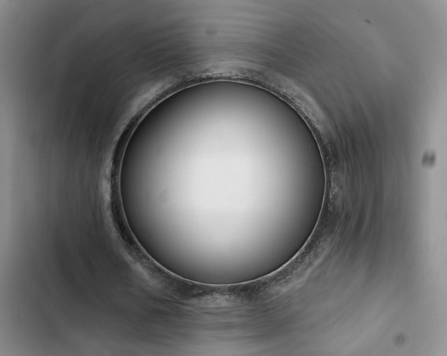 X0000102830578200808181326