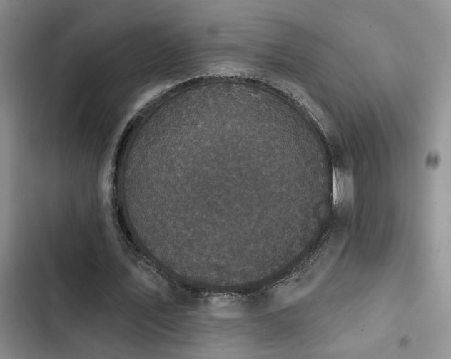 X0000102830579200808181326