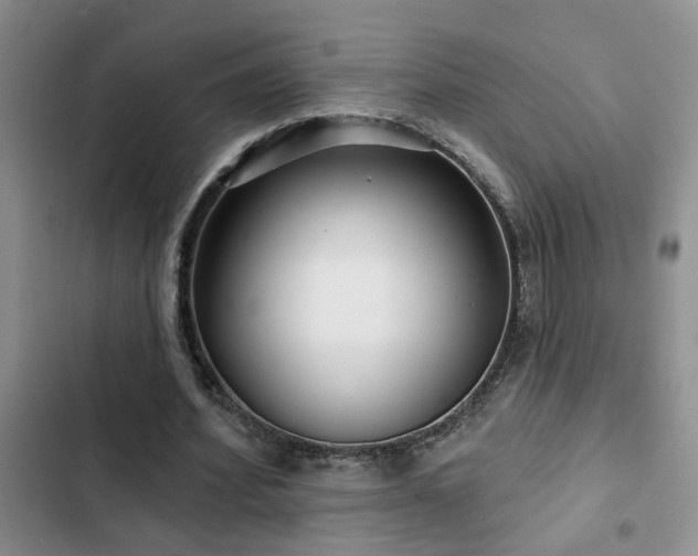 X0000102830580200808181326