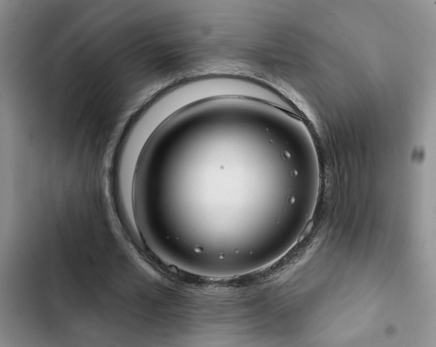 X0000102830581200808181326