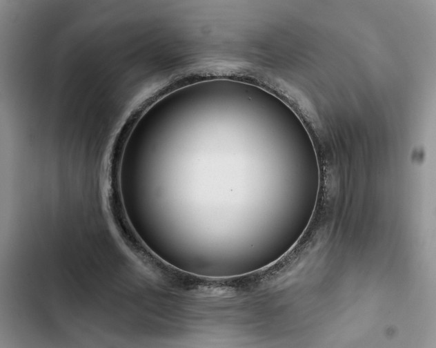 X0000102830582200808181326