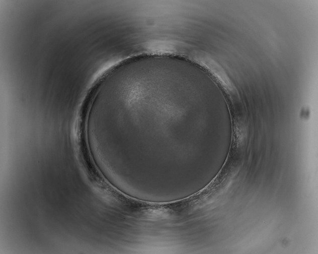 X0000102830583200808181326