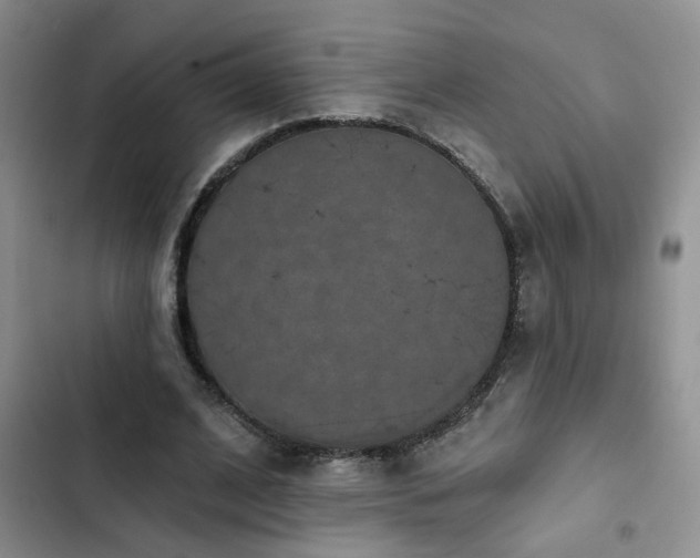 X0000102830584200808181326