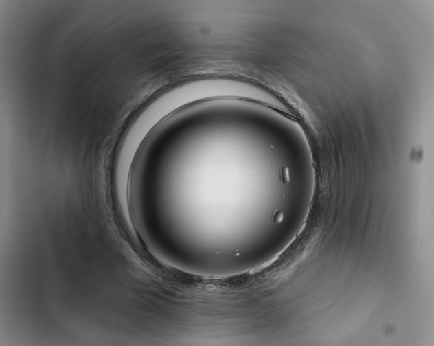 X0000102830585200808181326