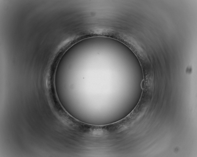 X0000102830587200808181326