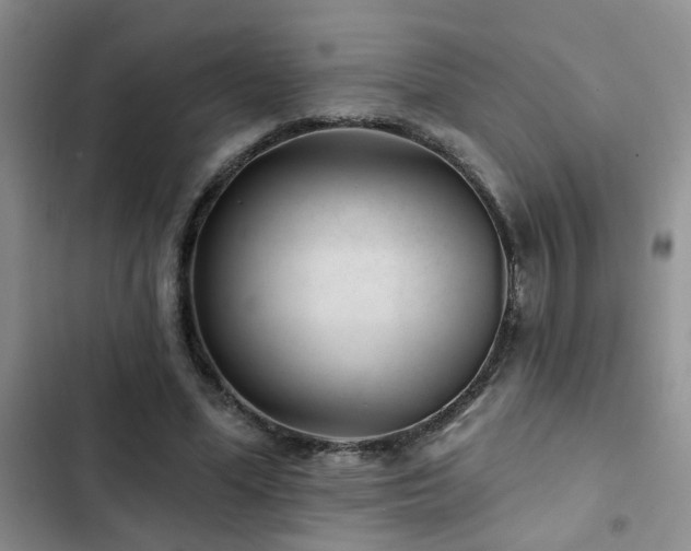 X0000102830588200808181326