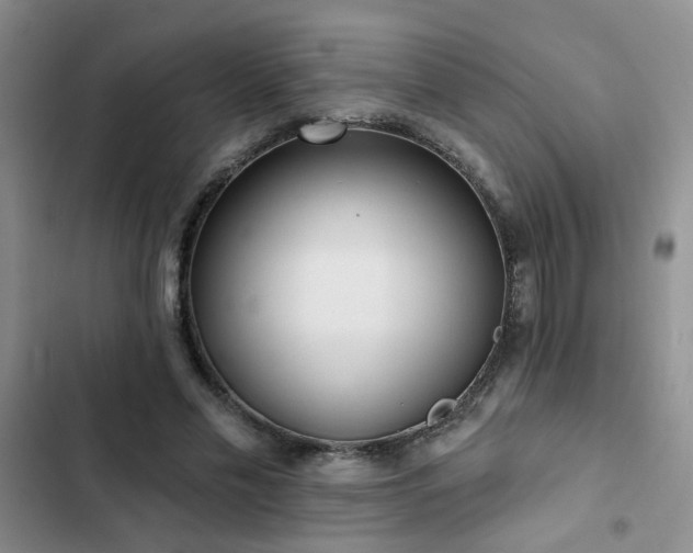 X0000102830589200808181326