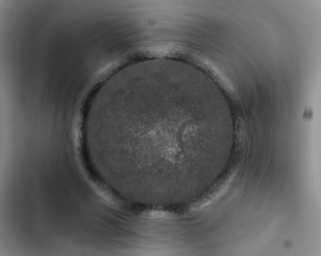 X0000102830590200808181326