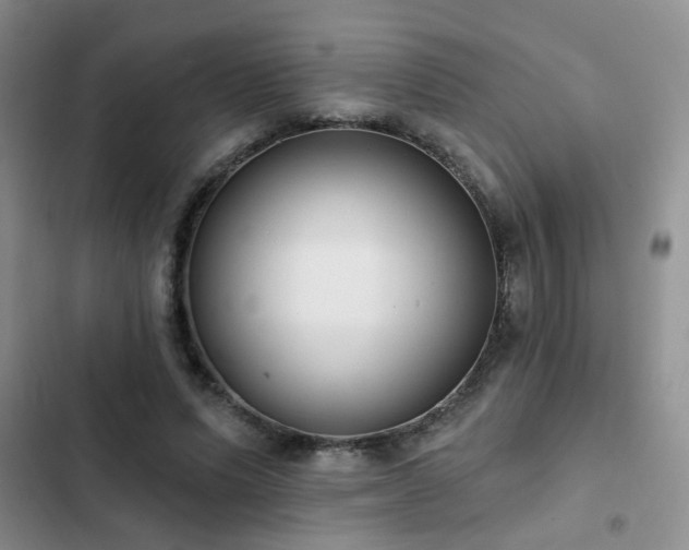 X0000102830591200808181326