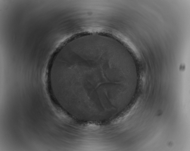 X0000102830592200808181326