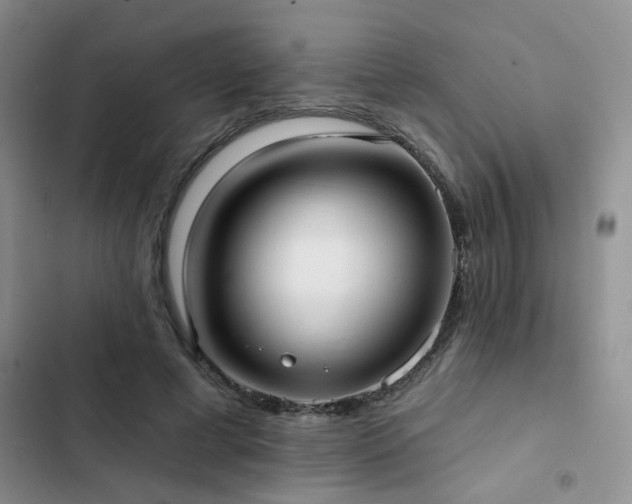 X0000102830593200808181326