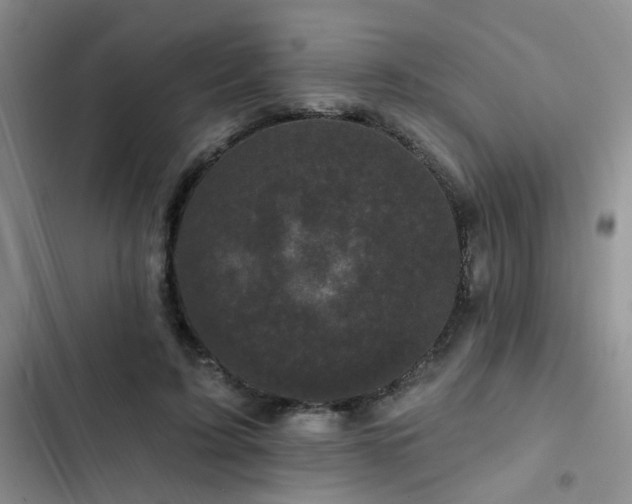 X0000102830595200808181326