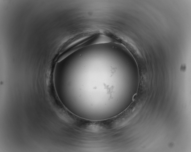 X0000102830596200808181326