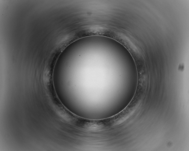 X0000102830597200808181326