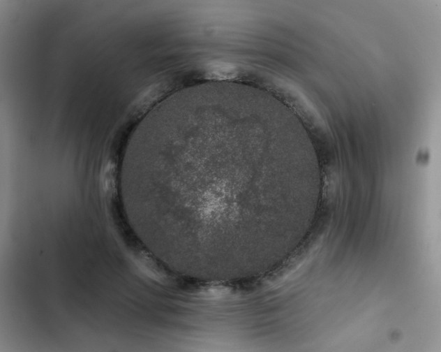 X0000102830598200808181326