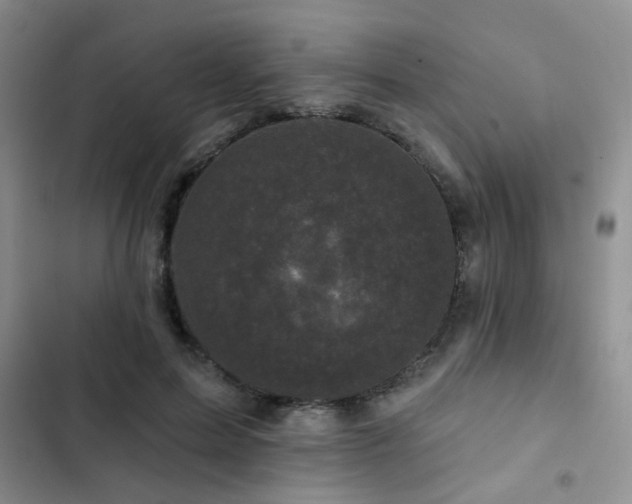 X0000102830599200808181326