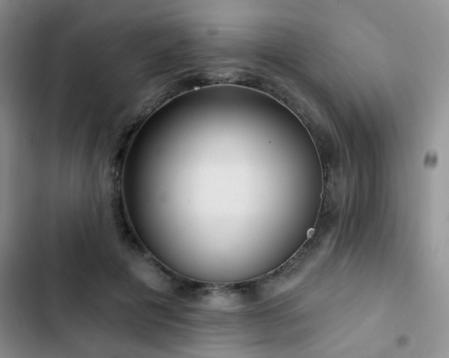 X0000102830601200808181326