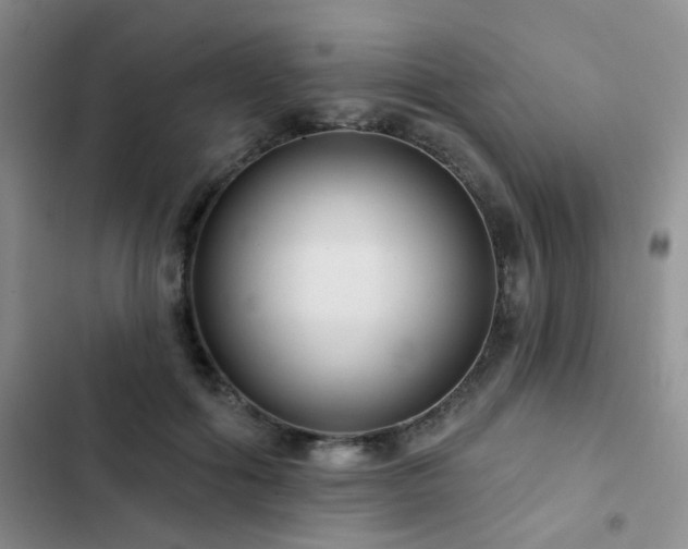 X0000102830602200808181326